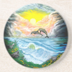 Playing Dolphins in the Sunshine Coaster