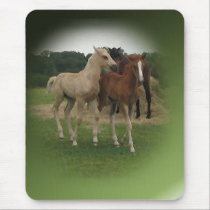 Playing Foals Crosstitched Mouse Mat