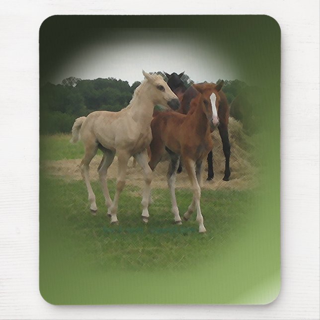 Playing Foals Crosstitched Mouse Mat (Front)