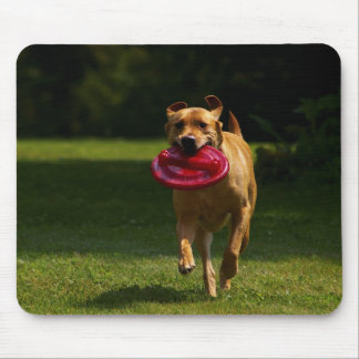 Playing Frisbee Mouse Mat
