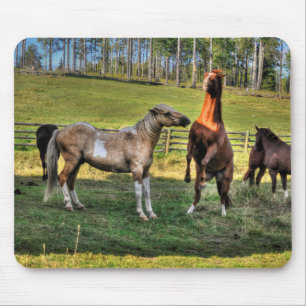 Playing Pinto Stallion & Sorrel Mare Equine Photo Mouse Mat