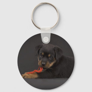 Playing Puppy 5 Key Ring