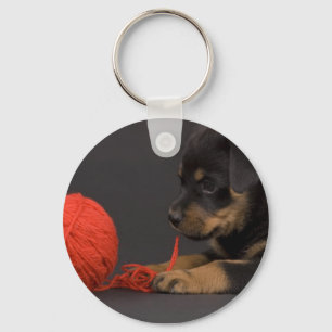 Playing Puppy 6 Key Ring
