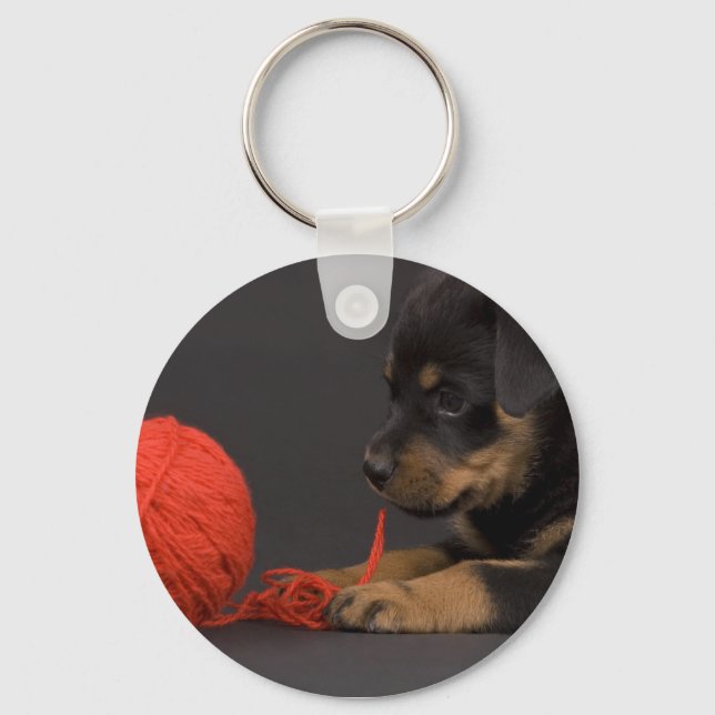 Playing Puppy 6 Key Ring (Front)
