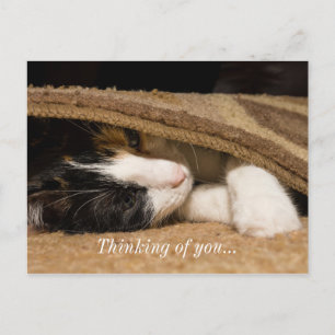 Playing Under The Rug Thinking Of You Postcard
