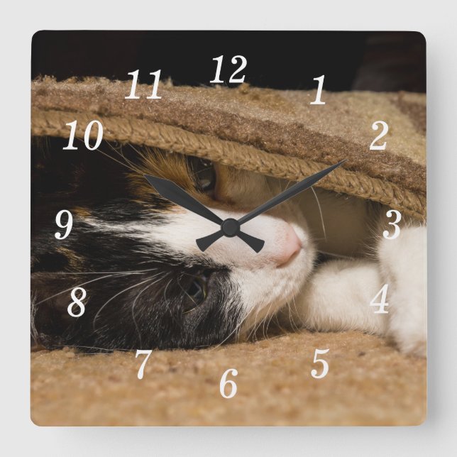 Playing Under The Rug Wall Clock (Front)