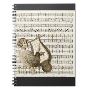 Playing Vintage Harp Music 304 Notebook