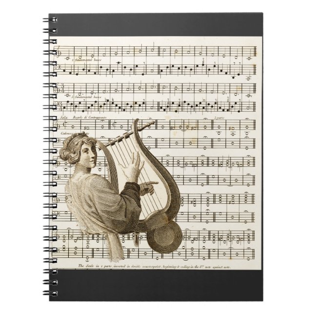 Playing Vintage Harp Music 304 Notebook (Front)