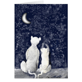 "Playing with Stars"
