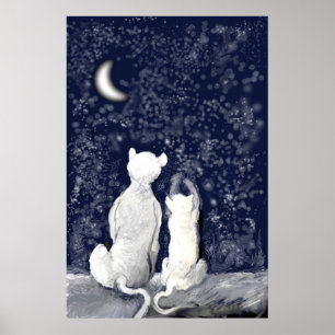 "Playing with Stars" Poster