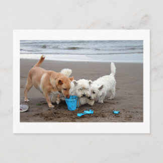 Playtime on the beach postcard