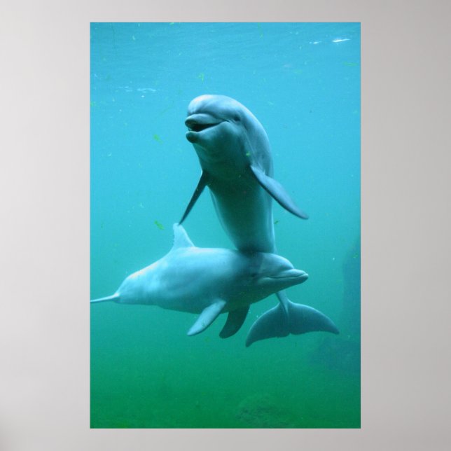 Playtime Poster (Front)