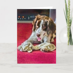 Playtime Timeout Card