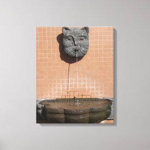 Plaza Cat Fountain Canvas Print