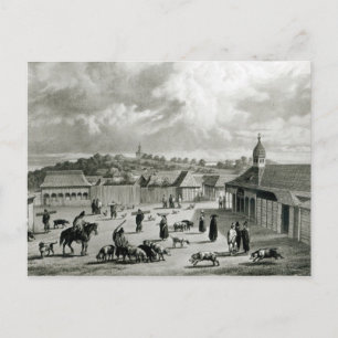 Plaza de San-Carlos de Chiloe, 1835  ] Postcard