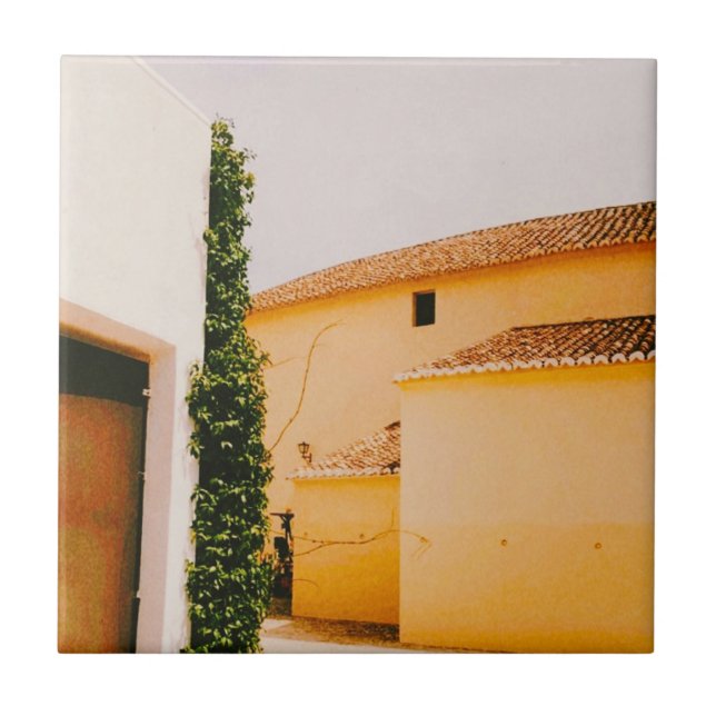 Plaza de Toros de Ronda - Andalusia - Spain Tile (Front)