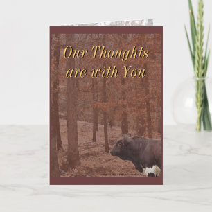 PLB Sympathy-or any occasion Card