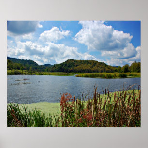 Pleasant Creek Poster