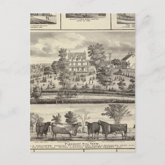 Pleasant Hill Farm bldgs in Decorah Postcard (Front)