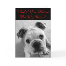 Please Be Mine Valentine