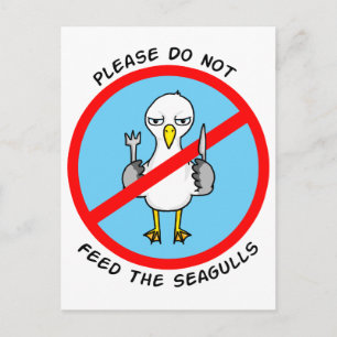 Please do not feed the seagulls postcard