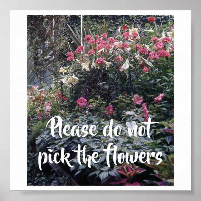 Please do not pick the flowers sign (Front)
