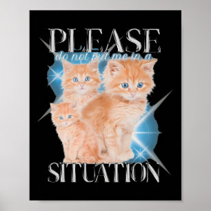 Please Do Not Put Me In A Situation Funny Cat  Poster