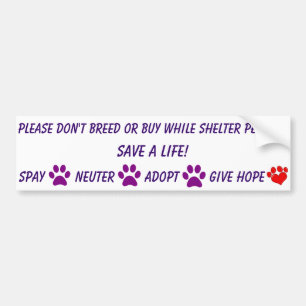 Please don't breed or buy bumper sticker