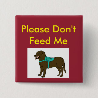 Please Dont Feed Me SD 15 Cm Square Badge