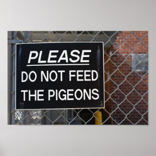 Please Don't Feed the Pigeons New York City NYC Poster