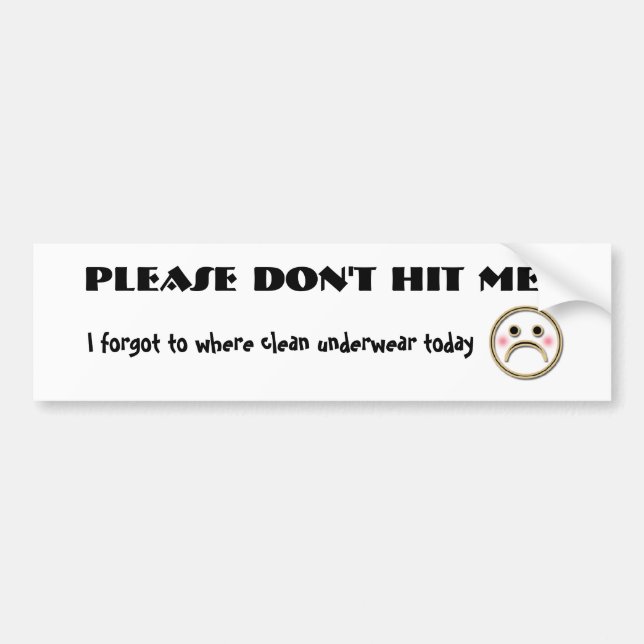 PLEASE DON'T HIT ME!! BUMPER STICKER (Front)