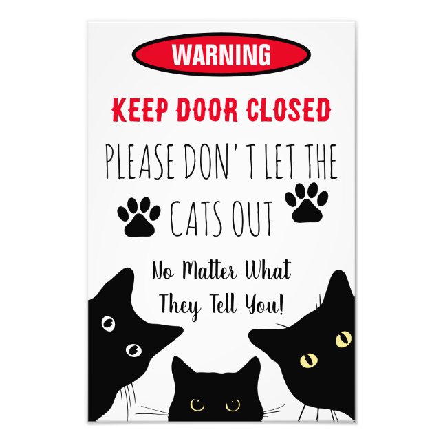 Please Don't Let The Cats Out  Funny Cat Photo Print (Front)