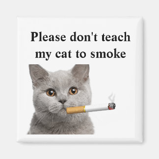 Please don't teach my cat to smoke magnet