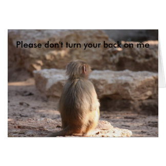 Please don't  turn your back on me