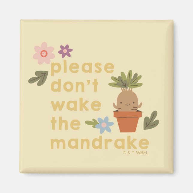 Please Don't Wake The Mandrake Magnet (Front)