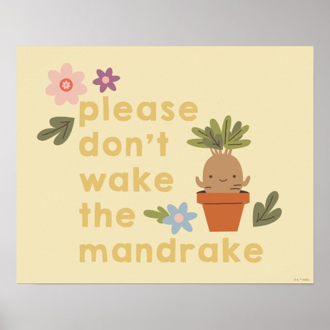 Please Don't Wake The Mandrake Poster (Front)
