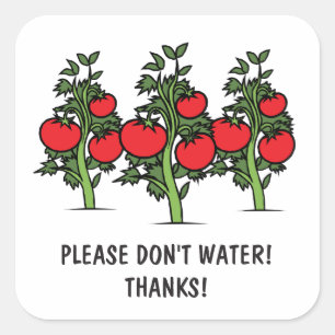 Please Don't Water Stickers - Tomatos