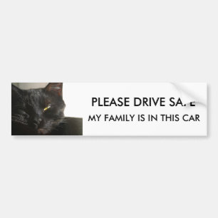 PLEASE DRIVE SAFE , MY FAMILY IS IN THIS CAR BUMPER STICKER
