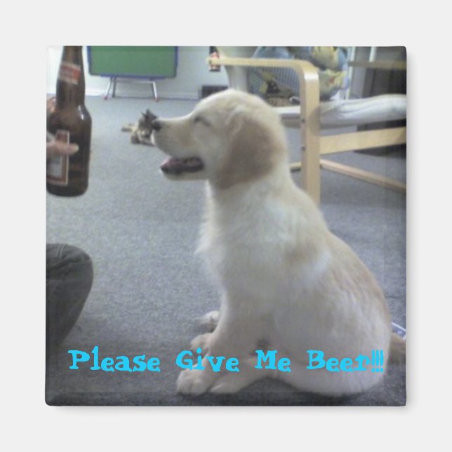 Please Give Me Beer!!! Magnet (Front)