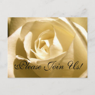 Please Join Us! Invitation Postcard Cream Rose