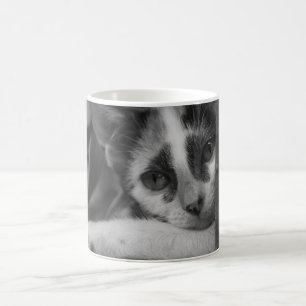Please Kitty Coffee Mug