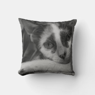 Please Kitty Cushion
