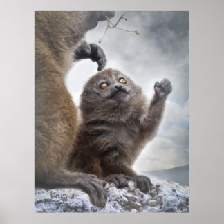 Please Mama Print