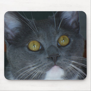 Please Mouse Mat