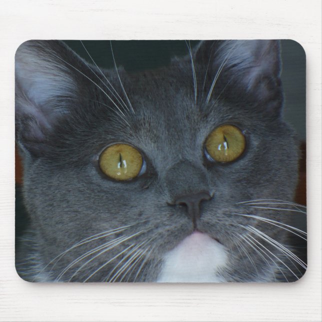 Please Mouse Mat (Front)