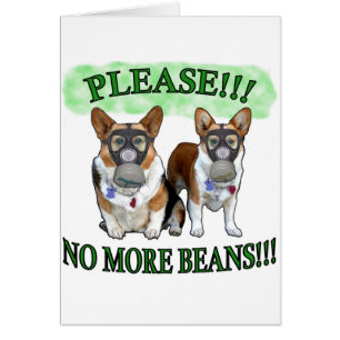 Please NO BEANS