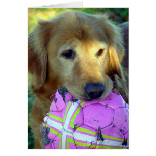Please Play With Me