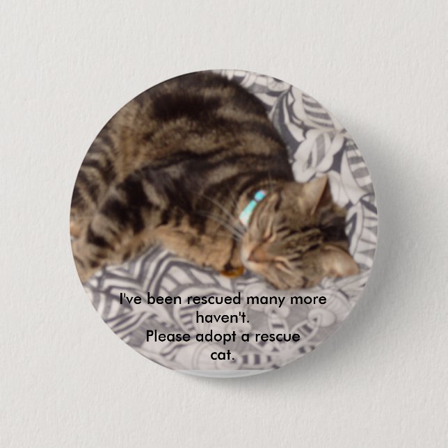 Please rescue a cat 6 cm round badge (Front)