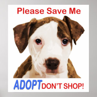 Please Save Me Adopt Don't Shop Poster