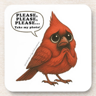 Please Take My Photo Funny Cardinal Bird Coaster S